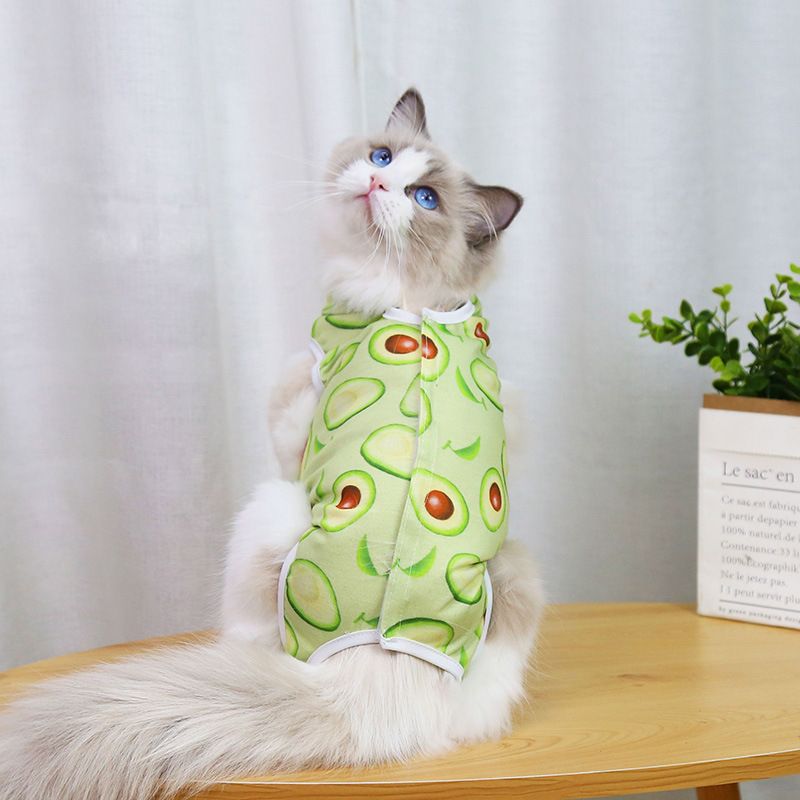 Avocado Pattern
